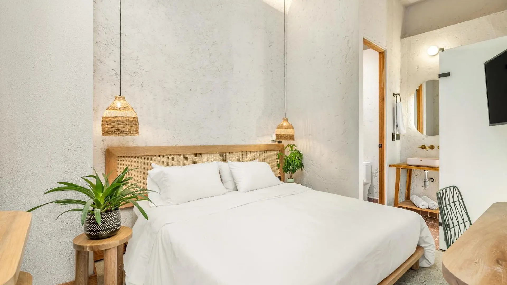 Botanica Casa Hotel Manila By Housy Host Medellin
