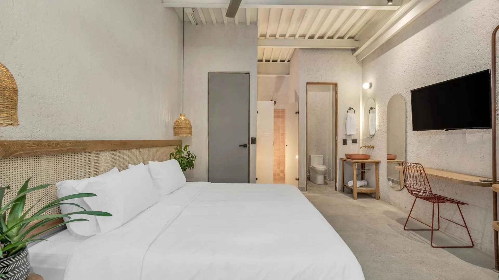 Botanica Casa Hotel Manila By Housy Host Medellin Colombia