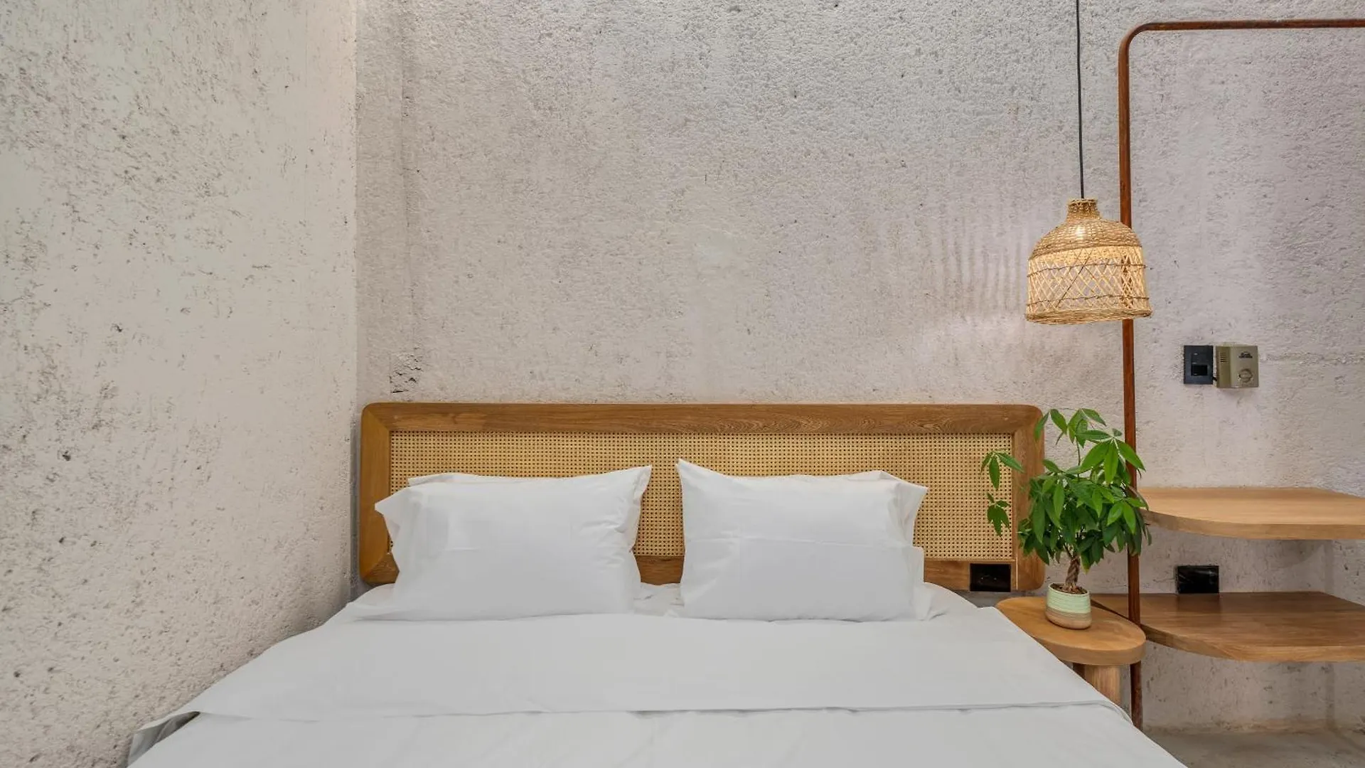 Botanica Casa Hotel Manila By Housy Host Medellin
